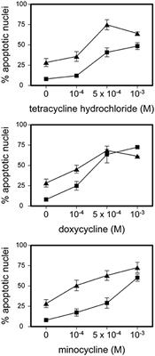 Potent Anti-Inflammatory Effects of Tetracyclines on Human Eosinophils